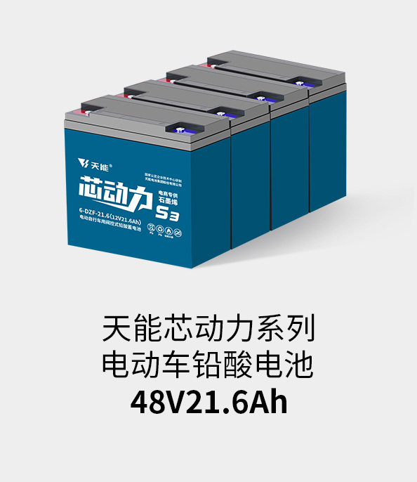 凯发天生赢家电池48v20ah