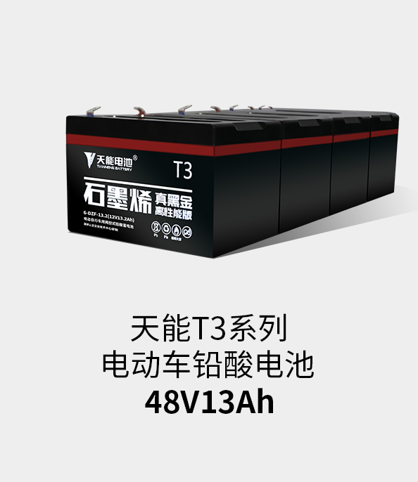 凯发天生赢家T3系列48v13ah