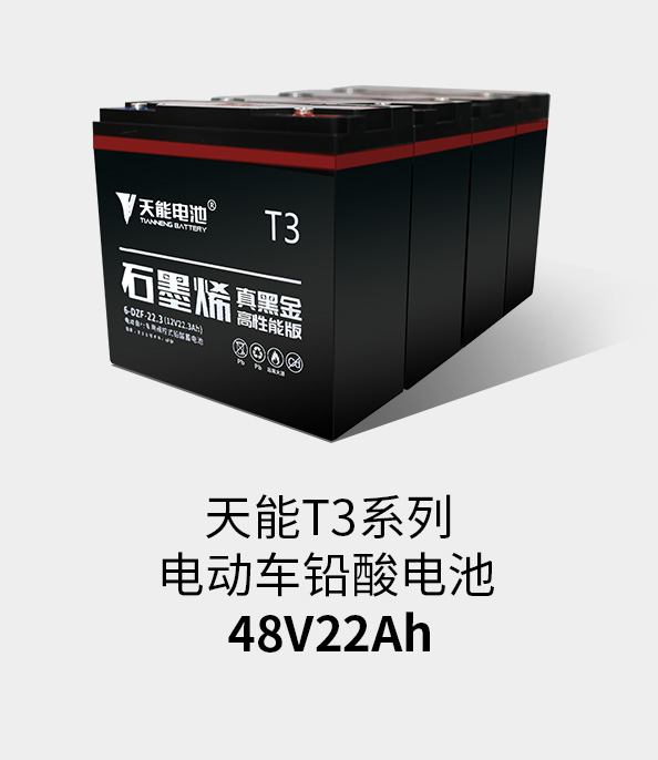 凯发天生赢家T3系列48v22ah
