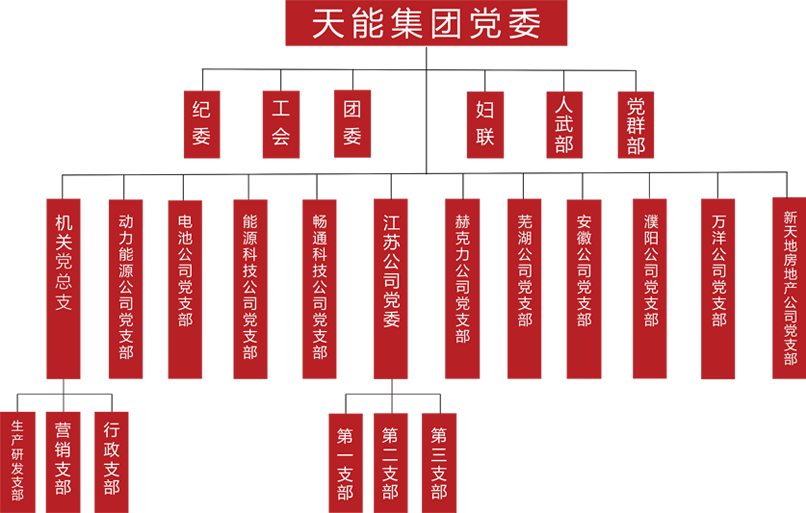 凯发天生赢家建团党委组织架构