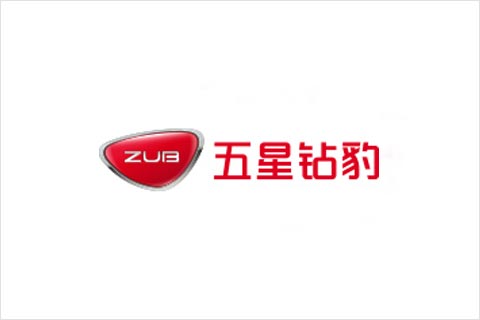 凯发天生赢家电池合作伙伴 五星钻豹电动车